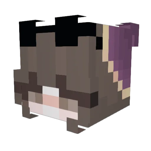 LIZofLexi Minecraft avatar head, 3D render