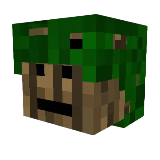 LImIted_EdIton Minecraft avatar head, 3D render