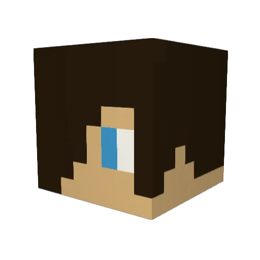 LJH1999 Minecraft avatar head, 3D render