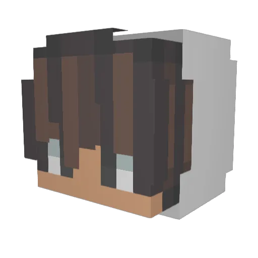 LJPlayzMc Minecraft avatar head, 3D render