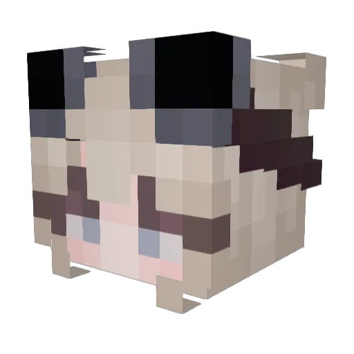 LJTigger Minecraft avatar head, 3D render