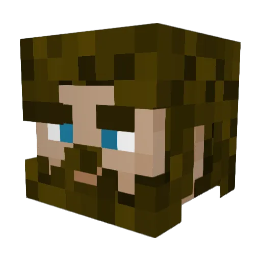 LJW1012 Minecraft avatar head, 3D render