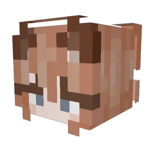 LK4RY Minecraft avatar head, 3D render