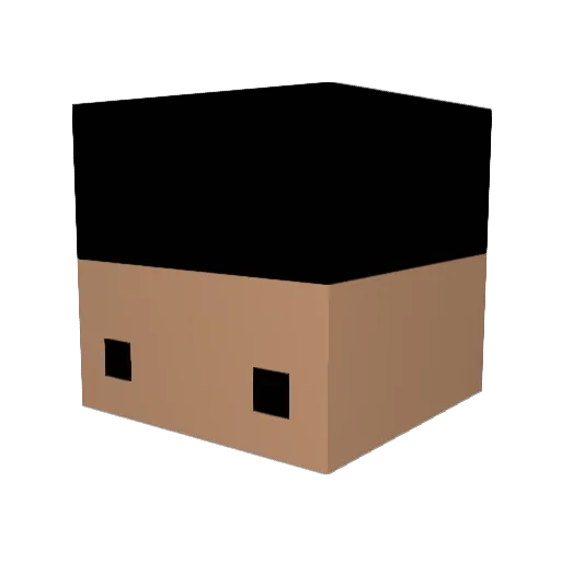 LLL_21 Minecraft avatar head, 3D render