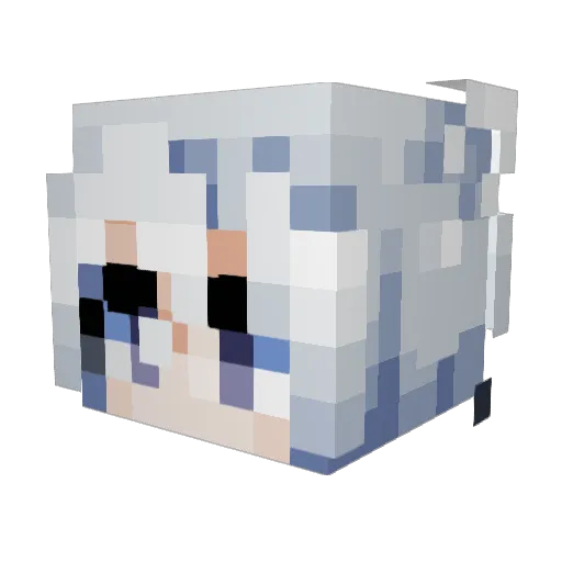LLTM_toby Minecraft avatar head, 3D render
