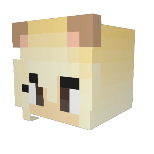LLX2022 Minecraft avatar head, 3D render