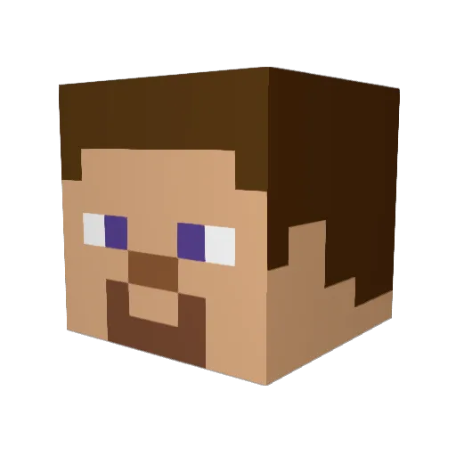 LLY2005 Minecraft avatar head, 3D render