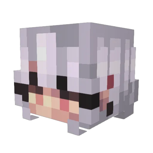LL_Schiller Minecraft avatar head, 3D render