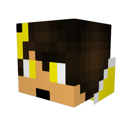LLightnin6 Minecraft avatar head, 3D render