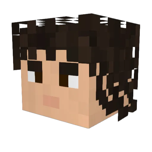 LLillico Minecraft avatar head, 3D render