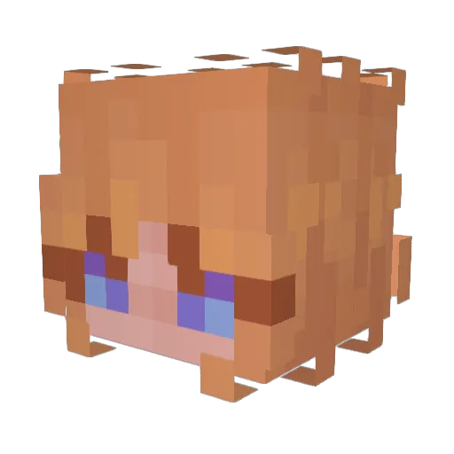 LLorelai Minecraft avatar head, 3D render