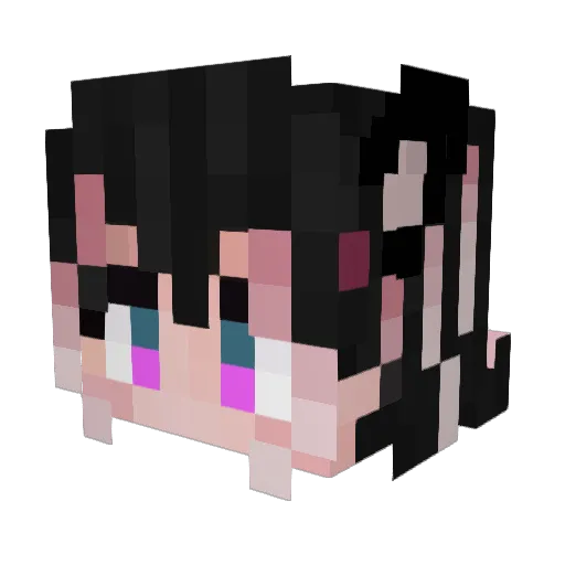 LMAOOOO1234 Minecraft avatar head, 3D render