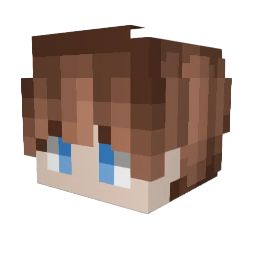 LMFN2020 Minecraft avatar head, 3D render