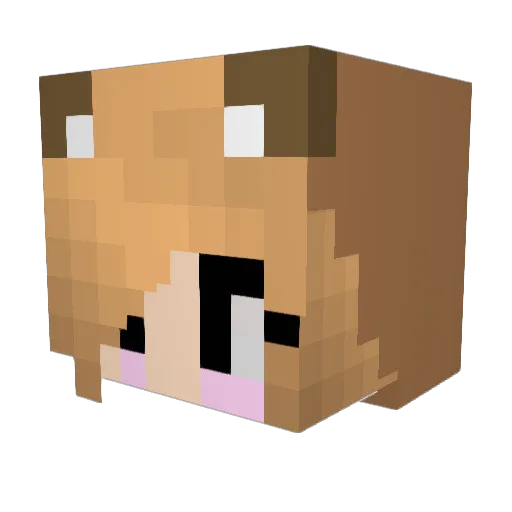 LMH199 Minecraft avatar head, 3D render