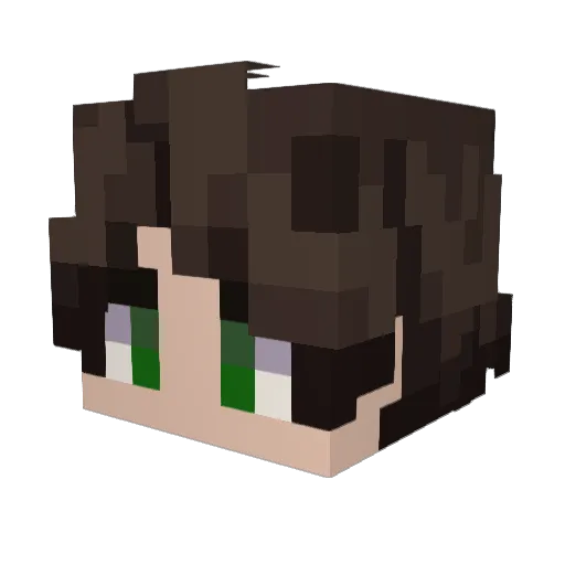 LM_Void Minecraft avatar head, 3D render