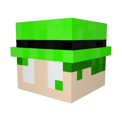 LMhectorr Minecraft avatar head, 3D render