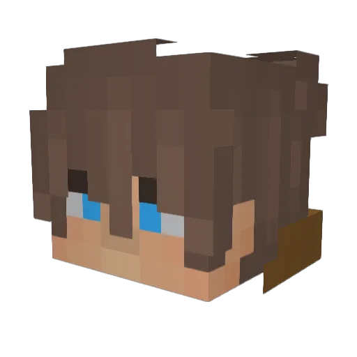 LNC_ Minecraft avatar head, 3D render