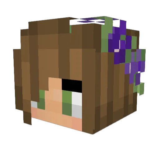 LNDSJANE Minecraft avatar head, 3D render