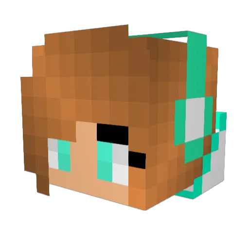 LNF27 Minecraft avatar head, 3D render