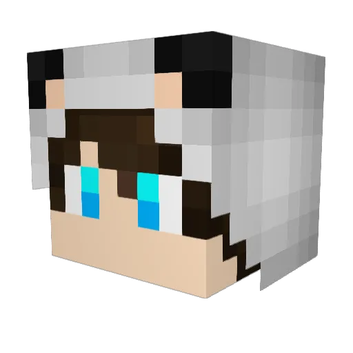 LNardo_ Minecraft avatar head, 3D render