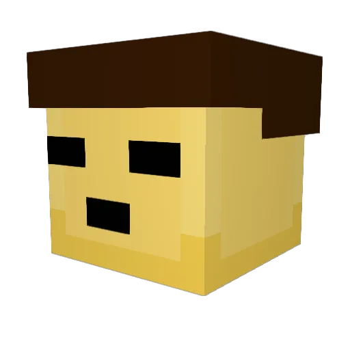 LOA11 Minecraft avatar head, 3D render