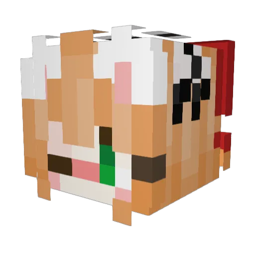 LOCKTIAN Minecraft avatar head, 3D render
