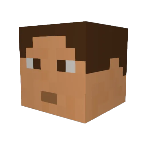 LOG1999 Minecraft avatar head, 3D render