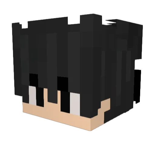 LOGANDBR Minecraft avatar head, 3D render