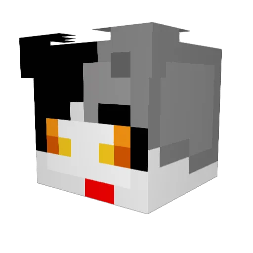 LOGAN_YOON Minecraft avatar head, 3D render