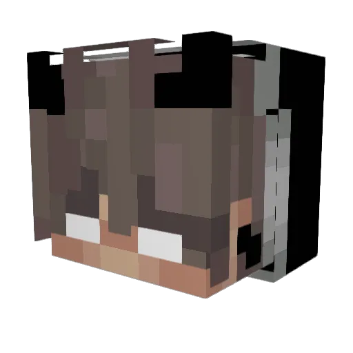 LOLER5574 Minecraft avatar head, 3D render