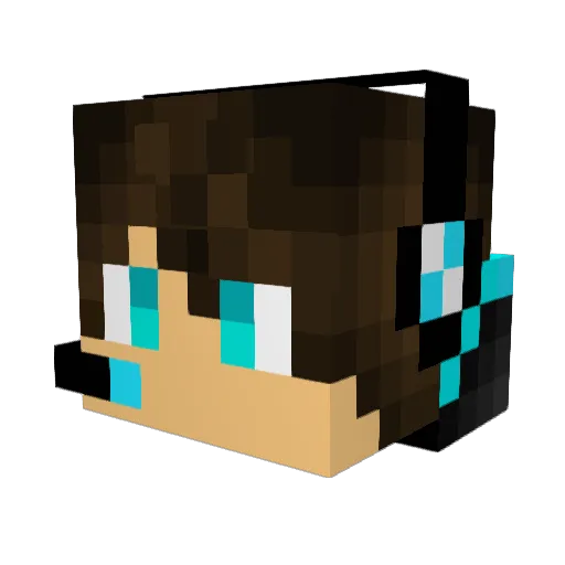 LOLFACE2006 Minecraft avatar head, 3D render