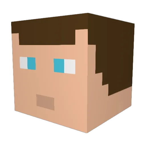 LOLIT11 Minecraft avatar head, 3D render