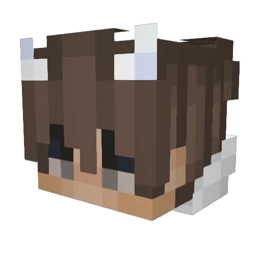 LOLIamSem Minecraft avatar head, 3D render