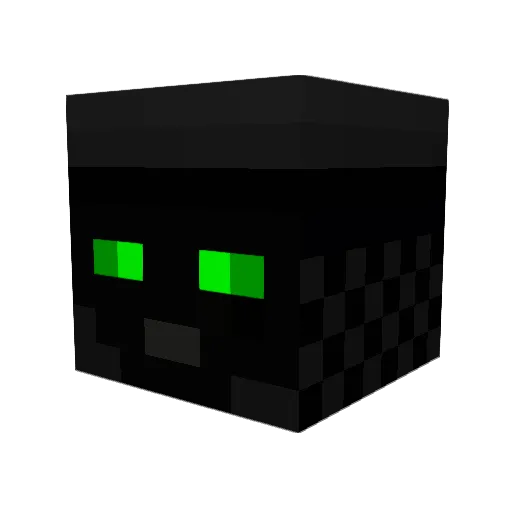 LOLMAN0305 Minecraft avatar head, 3D render