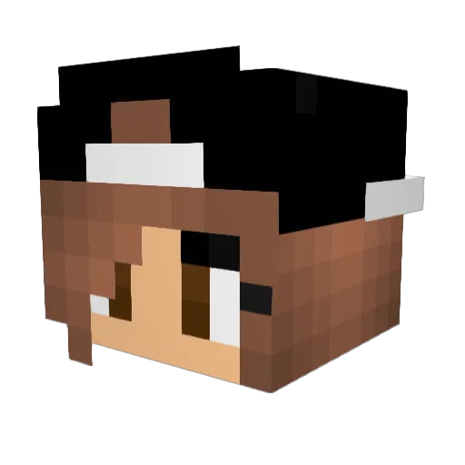 LOLO2609 Minecraft avatar head, 3D render
