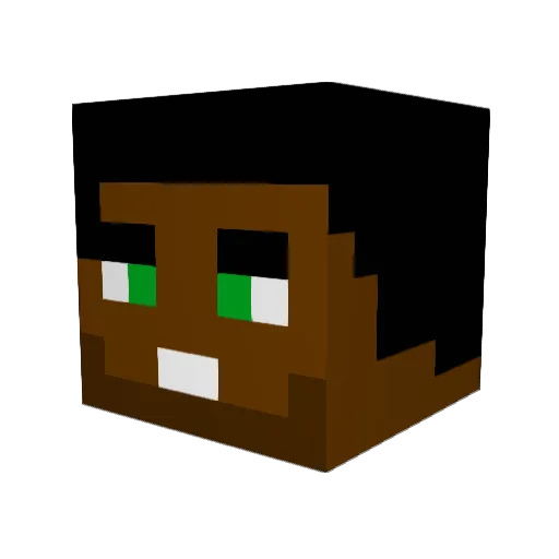 LOLO4EVER Minecraft avatar head, 3D render