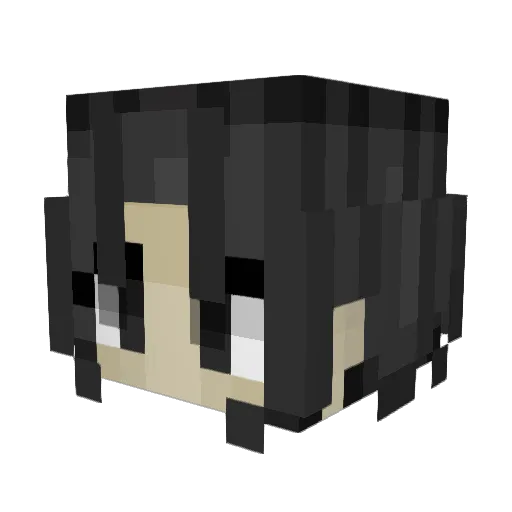 LOLROFL1 Minecraft avatar head, 3D render