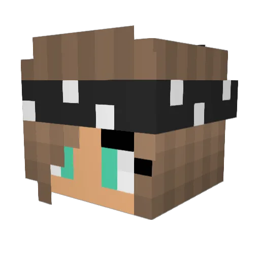 LOLXDXDXDXDXDXD Minecraft avatar head, 3D render