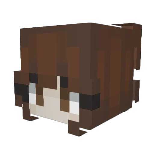 LOL_LUCKIE Minecraft avatar head, 3D render
