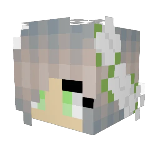 LOL_Potato_Gamer Minecraft avatar head, 3D render