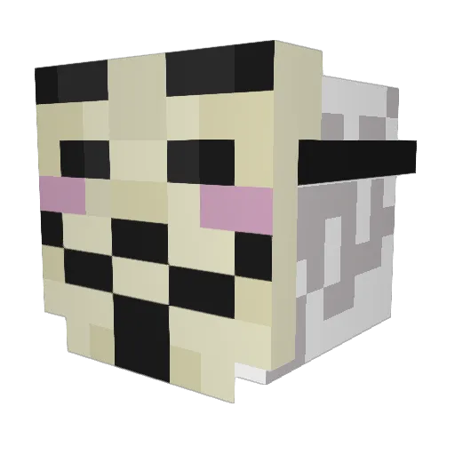 LOL_nigga Minecraft avatar head, 3D render