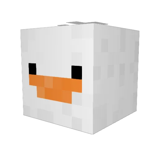 LOLcat27 Minecraft avatar head, 3D render