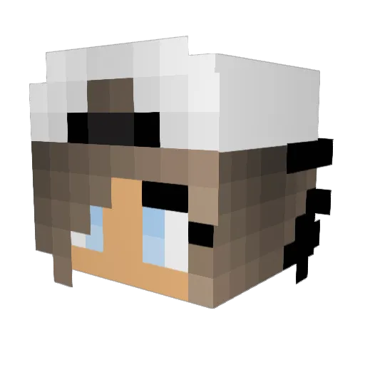 LOLwolfy Minecraft avatar head, 3D render