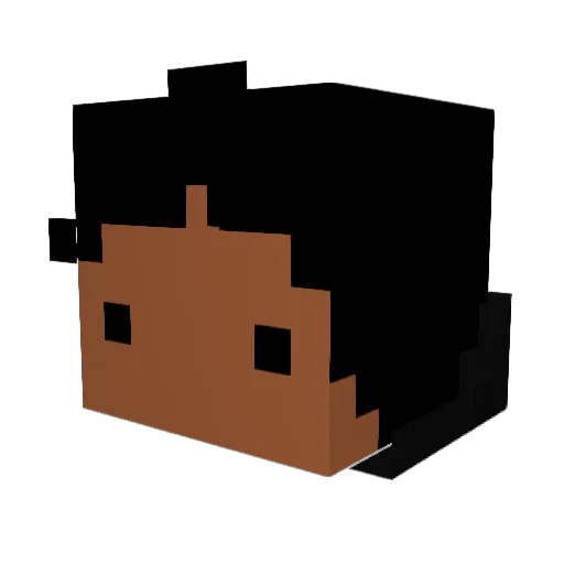 LOMO0 Minecraft avatar head, 3D render