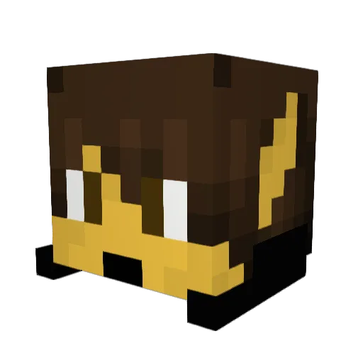 LORDBEIDER Minecraft avatar head, 3D render