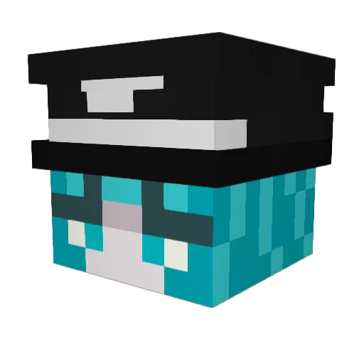 LOSERGEJI4554 Minecraft avatar head, 3D render