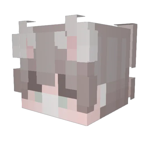 LOSTED Minecraft avatar head, 3D render