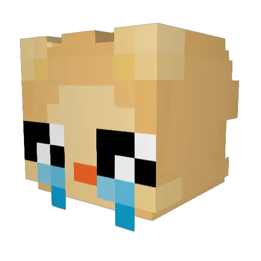 LOSTNILS9118 Minecraft avatar head, 3D render