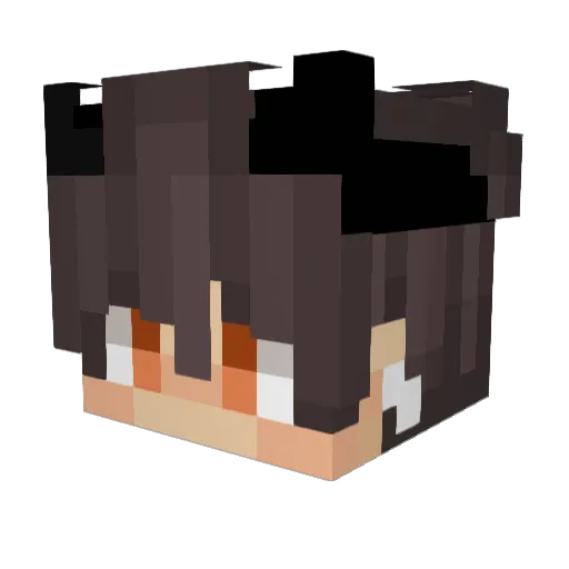 LOST_85 Minecraft avatar head, 3D render