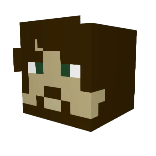 LOTRWanderer Minecraft avatar head, 3D render